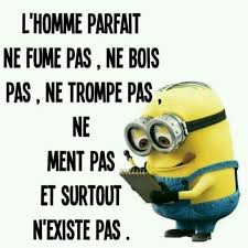 Maintenant Je Comprends Pourquoi Je Suis Celibataire Celibataire Comp Citations Rire Blague Minion Et Citations Droles