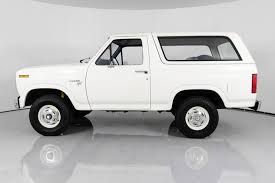 Image result for Fawn 1981 Bronco