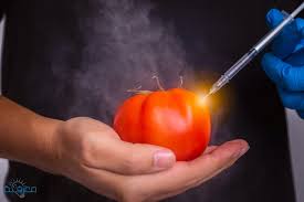 أضرار المواد الحافظة على الصحة