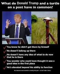 [Image: images?q=tbn:ANd9GcROW61B2Y7hSuxLuLX4hYV...hg-KB4Ppow]