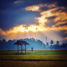 Gambar pemandangan alam ini menjadi bukti akan keindahan alam yang terdapat di beberapa penjuru dunia. To Di Instagram Pagi Bukan Waktu Untuk Mengeluh Sawah Pedesaan Photograph Sunrise Natural Landmarks Landmarks Nature
