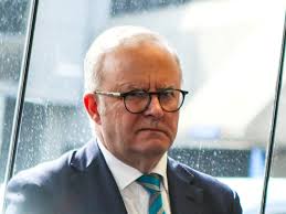 Frankenstein a 'bunny boiler' in Katz's picture-book adaptation