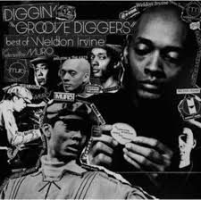 Weldon Irvine: Diggin' Groove Diggers 2024 Feat. Weldon Irvine: Unlimited  Rare Groove Mixed By Muro (LP)