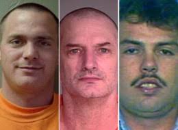 Truesee's Daily Wonder