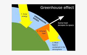Blood flow through the heart. Small Greenhouse Effect Labelled Diagram Png Image Transparent Png Free Download On Seekpng