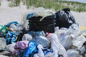 Essay On Plastic Bag For Students And Children 500 Words Essay