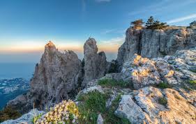 Father's Grief Archives