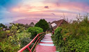 Penang hill also offers visitors a glimpse of its diversity. Things To Do In Penang Hill To Refresh Your Mind Airpaz Blog