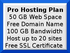 Profreehost is a web hosting service which is aimed at providing free servers and tools to it's members for both personal and commercial use. Pro Hosting Iisnet Networks