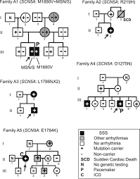 Sodium Channelopathy Underlying Familial Sick Sinus Syndrome With Early Onset And Predominantly Male Characteristics Circulation Arrhythmia And Electrophysiology