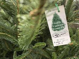 I want young people to know that we will get through this! Shop Early Us Christmas Trees Supplies Tight Prices Up Chicago News Wttw