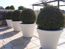 pot xxl exterieur grande taille en beton prefabrique lisse grands pots de jardin pot jardin pots