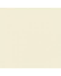 Image result for Frost White 1970 AMC