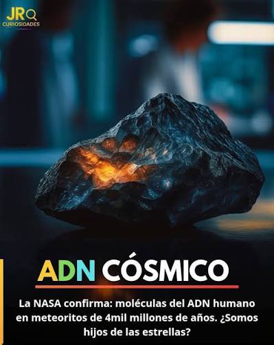 ☄️ ADN Cósmico: Las Bases de la Vida en un Meteorito de 4 Mil Millones de  Años  Científicos de la NASA y JAMSTEC hallaron en el meteorito Murchison  —caído en Australia—
