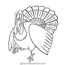 How To Draw A Turkey Completed Pencil Outline Let S Draw That Cartoon Styles Drawings Simple Cartoon