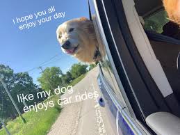 Maybe you would like to learn more about one of these? We Hope You Have A Good Day R Wholesomememes Wholesome Memes Know Your Meme