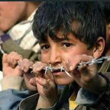 Peace in the colors of the sunset Dolenjska Slovenia iphone 20/02/2025