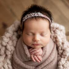 Dee Hoehn Photography