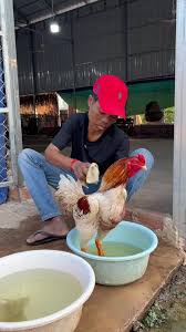 ជួបគ្នានៅ KC999 សប្បាយប្រភេទថ្មី!