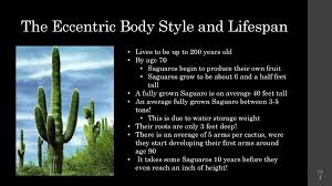 These arms generally bend upward and can number over 25. The Sacred Saguaro Ppt Download