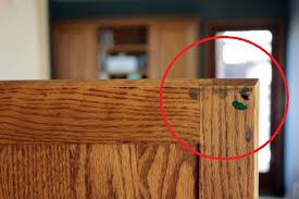 We did not find results for: Options To Fix Noisy Kitchen Cabinets