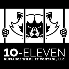 Scratching noises in your attic? 10 Eleven Nuisance Wildlife Control Llc Home Facebook