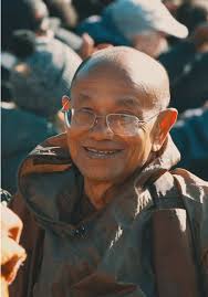 The Monks Walk Route Flowers