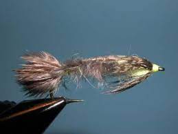 Burk S Hexagenia Nymph Nymph Fly Fishing Lake Almanor