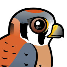 Please wait, the page is loading. Cute American Kestrel Sparrow Hawk By Birdorable