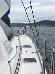 Things to do in wellington, new zealand: Megisti Sailing Charters 70 Minute Harbour Cruise Great Trip