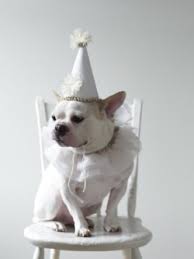 Setting The Perfect Summer Table And A Tabletop Giveaway The Enchanted Home Dog Birthday Baby Dogs Bulldog