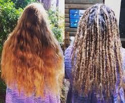 Depending on your hair type, growing dreads may be more of a challenge. Dreadlock Creation Sydney Dreadlocks Organic Natural