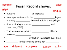 He begins with a discussion of charles darwin and the evidence that he presented in the origin of species, including biogeography, fossils, and homologies. 7a Evidence Of Evolution Ppt Download