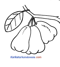 Maybe you would like to learn more about one of these? 14 Mewarnai Gambar Jambu Biji Terbaik Lingkar Png