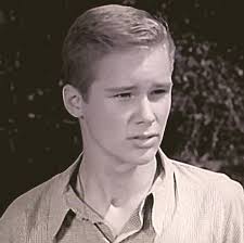 Wagon Train" The Danny Benedict Story (TV Episode 1959)