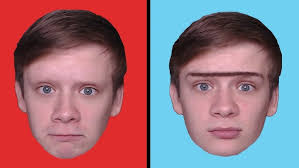 NO EYEBROWS OR A UNIBROW