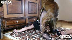 Masked woman in pantyhose combines bondage with bestiality sex
