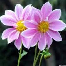 Nota komsas t1 komsas tingkatan 2: Bumi Gemilang On Twitter Cerpen Munsyi K1 Antologi Jaket Kulit Kijang Dari Istanbul Komsas Bahasa Melayu Tingkatan 4 Http T Co Rs5o3wc3kv