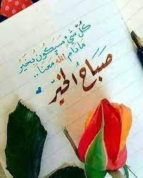 مع زحام الحياة نحتاج لوردة بلا مناسبة ورسالة لطيفة تجعلنا نبتسم فكن كالغيوم صمتها ظ good morning images flowers beautiful morning messages morning images