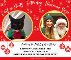 Animal Control Officer Works Holiday Miracle The Cat Had A Paw In It Too Long Beach Post News
