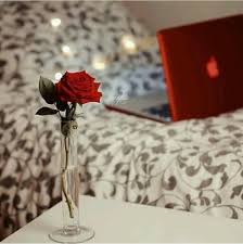 Pin By Aima Rehman On Dp Pic S Beautiful Roses Rose Flower Photos Love Rose Flower