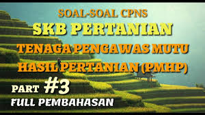 Kisi Kisi Soal Cpns Skb Pertanian Tenaga Pengawas Mutu Hasil Pertanian Pmhp Full Pembahasan Part 3 Youtube
