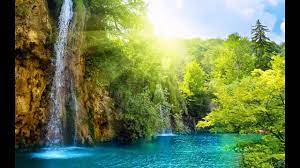 By admin 22 may, 2021 post a comment. Pemandangan Hutan Yang Indah Tapete Pemandangan Indah 1280x720 Wallpapertip
