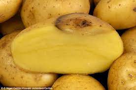 Sometimes i use a nubby kitchen towel to scrub and dry all in one step. Forget Expensive Cleaning Products Use A Potato To Clean Your House Expert Reveals The Science Behind Foods That Tackle Rust Limescale And Stains Daily Mail Online