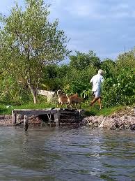 Meet Fred Arbona, a quiet hero....