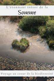 A La Decouverte De Vallee De La Somme Cote Nature Voyages Nature Espace Naturel Tourisme Durable