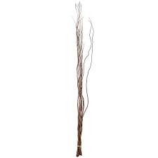 Natural Curly Willow Hobby Lobby 518852
