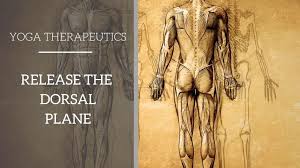 Release The Back Body Jennifer Raye Medicine And Movement Yin Yoga Sequence Core Workout Challenge Heart And Lungs