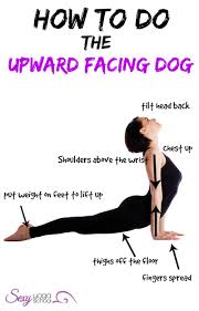 Upward Facing Dog Urdhva Mukha Svanasana Yoga Asanas Yoga Techniques Yoga