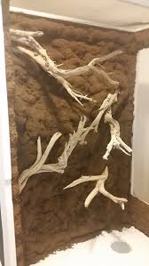 Coconut Fiber Substrate Dried Into The Brown Silicone On The Foam Background Reptielen